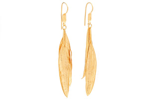 ARETE OLIVO