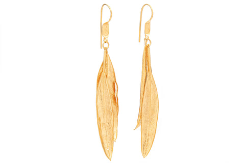 ARETE OLIVO