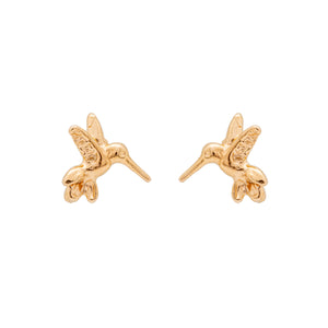 BROQUEL PIERCING COLIBRI