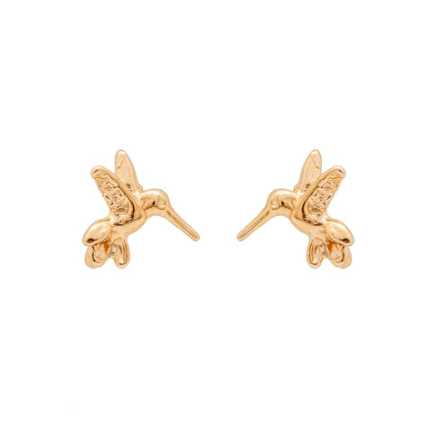 BROQUEL PIERCING COLIBRI