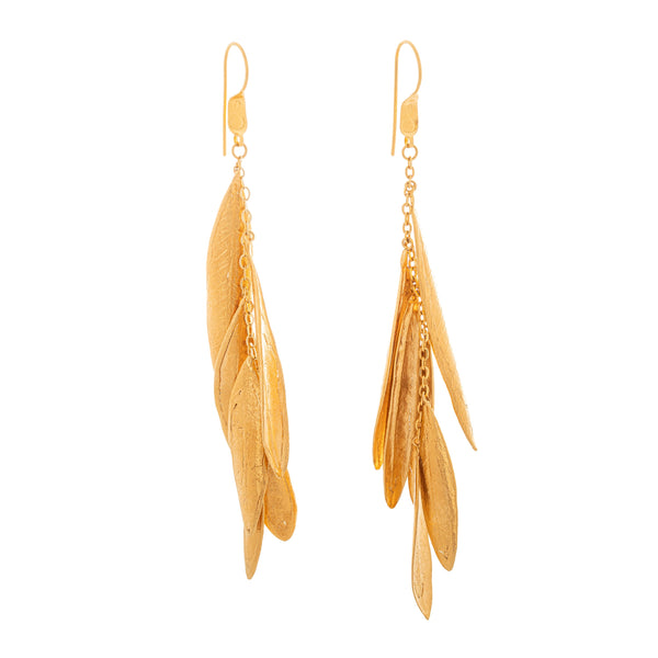 ARETE OLIVO