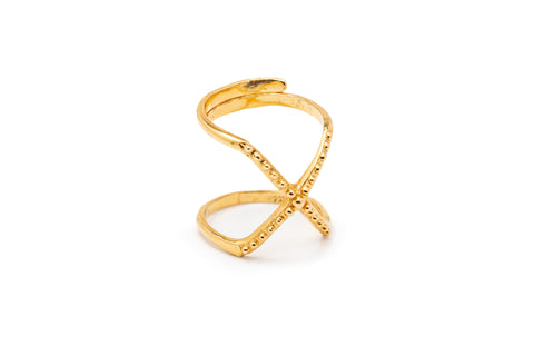 ANILLO X