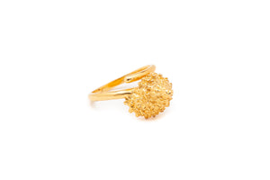 ANILLO CARACOL ERMITAÑO