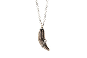 COLLAR GARRA DE OSO