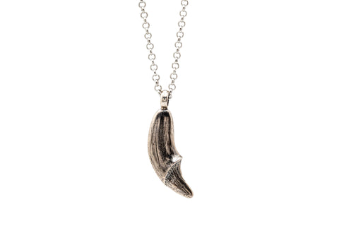 COLLAR GARRA DE OSO