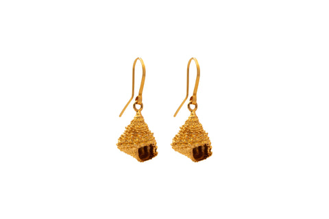 ARETE CARACOL ERMITAÑO